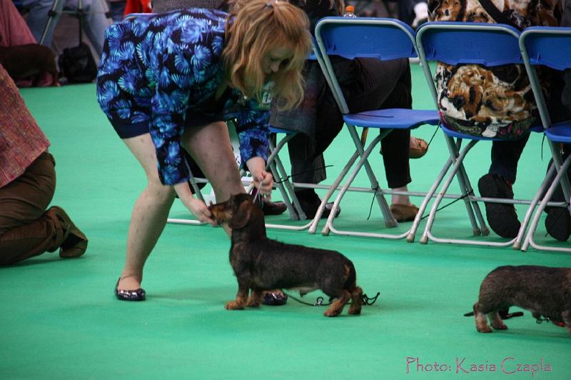 Crufts2011_2 912.jpg